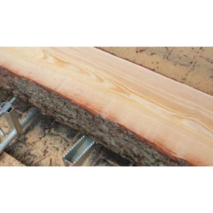 Freshly sawn board from the Wood-Mizer LX30